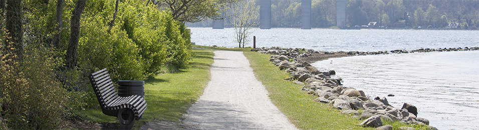 Vejle Fjord
