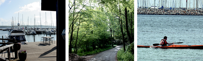 Omgivelser_660.jpg