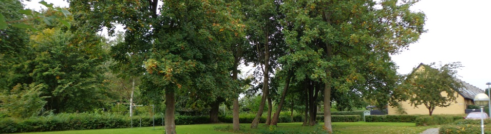 Naturen
