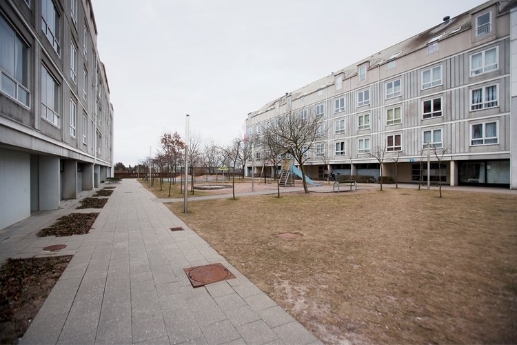|| Ladegårdsparken.jpg