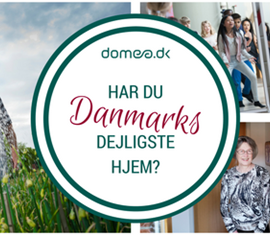 Link-grafik til FB 1.png