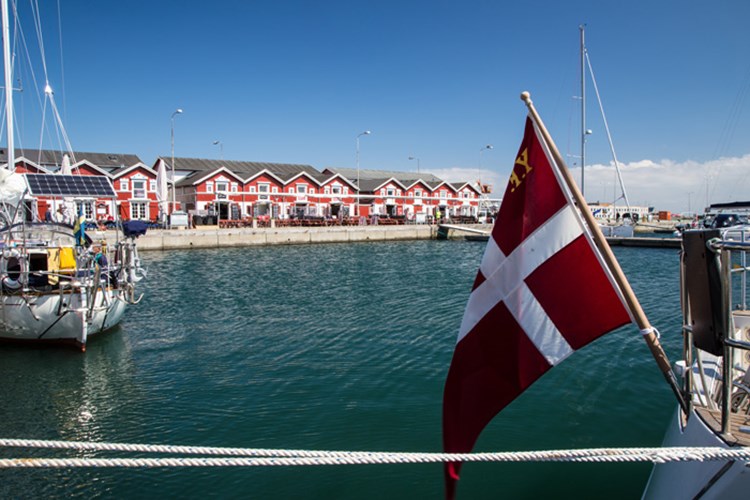 Billede af dannebrog og røde huse ved vandet i Skagen. || BM-Ferieudlejning-shutterstock.jpg