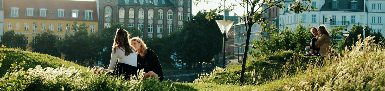 Banner Forside Baeredygtighed