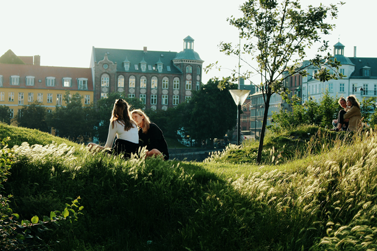 To piger ses med ryggen til fotografen på en lille græsgrøn bakke med bygninger i baggrunden. Til højre i billedet ses to andre piger sidde i græsset. || Baerdygtighedsside Web
