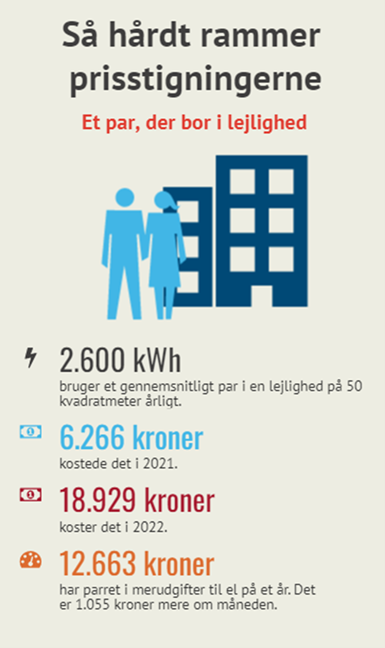 Beboerrådgivningen Eksempel