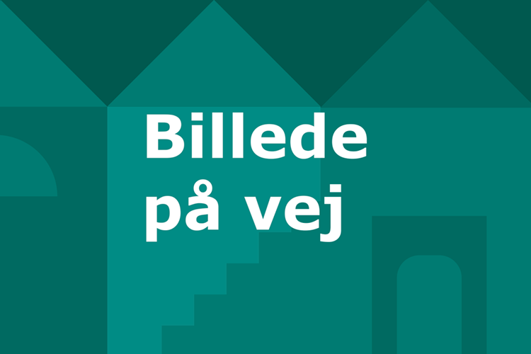 Illustration af grønne huse samt teksten: 'Billede på vej' || Nybyggeri Billde På Vej Web