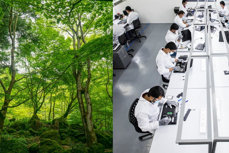Todelt billede af henholdsvis nogle træer og nogle mennesker, der sidder ved computere. || Baeredygtig It Web