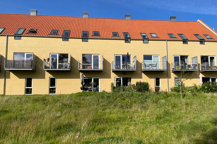 Billede af gul bygning med vildt græs foran i solskin. || Kirse Bygning 1000