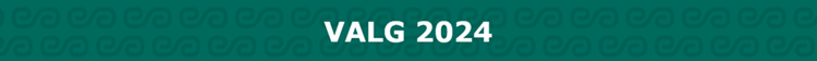 Grøn bjælke med teksten 'Valg 2024' skrevet med hvidt i. || Valg Bjaelke 2024 900
