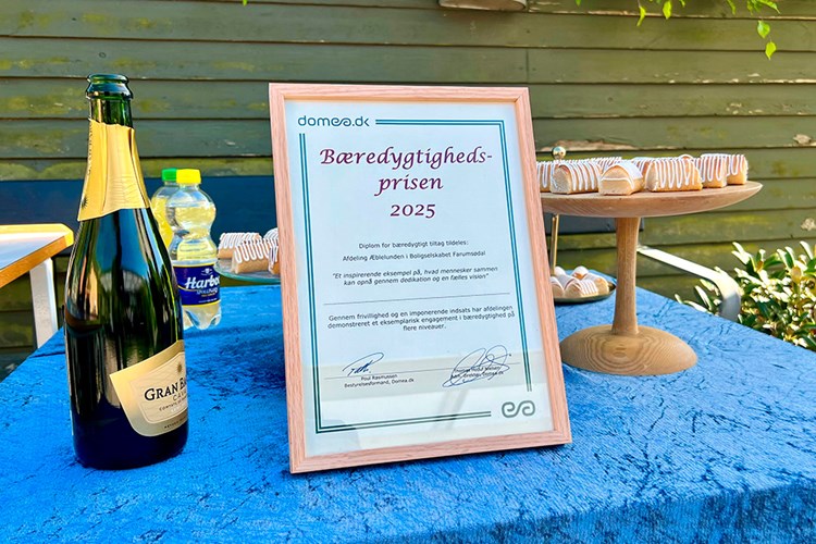 Et diplom, en flaske champagne og et fad med kransekage på et bord med en blå dug. || Baeredygtighedspris Aeblelunden Diplom 1000
