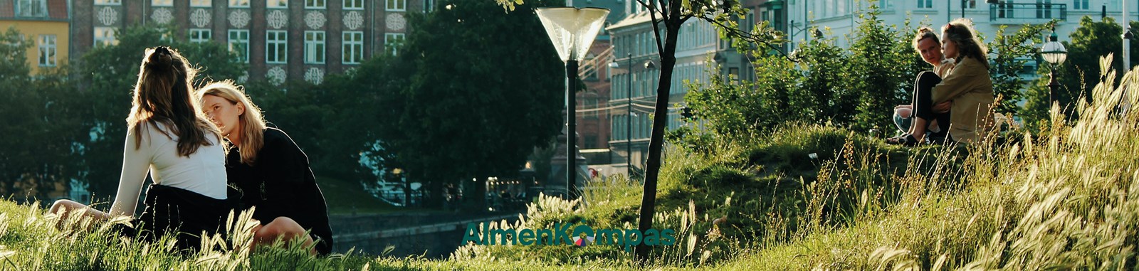 Domea Forside Banner Almenkompas Logo